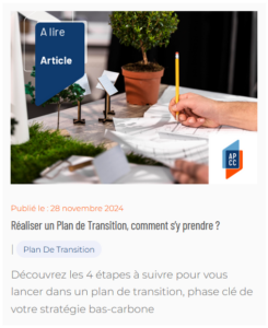 Article 2024